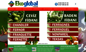 Ekoglobalfidan.com thumbnail