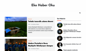 Ekohaberoku.com thumbnail