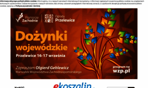 Ekoszalin.pl thumbnail