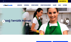 Elazigtemizliksirketi.com thumbnail