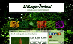 Elbosquenatural.blogspot.com thumbnail