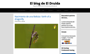 Eldruida.net thumbnail