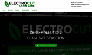 Electrocutlawncare.com thumbnail