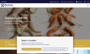 Electrolux-professional.be thumbnail