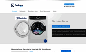 Electroluxbursaservis.com thumbnail