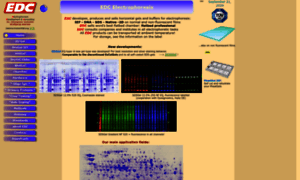 Electrophoresis-development-consulting.de thumbnail