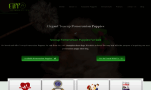 Elegantteacuppompuppies.com thumbnail