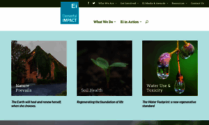 Elementalimpact.org thumbnail