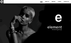 Elementbrandgroup.com thumbnail