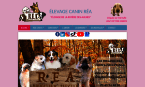 Elevage-canin-rea.com thumbnail