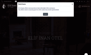 Elifinanotel.com thumbnail