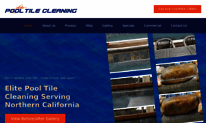 Elitepooltilecleaning.com thumbnail