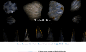 Elizabethsibert.com thumbnail