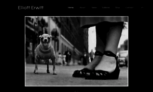 Elliotterwitt.com thumbnail