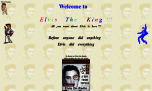Elvis.net thumbnail