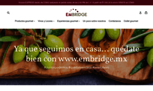 Embridge.mx thumbnail
