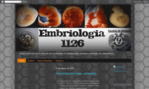 Embriologiahumana1126.blogspot.com thumbnail