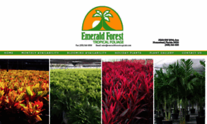 Emeraldforesttropicals.com thumbnail