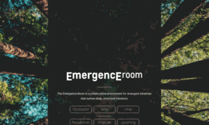 Emergenceroom.net thumbnail