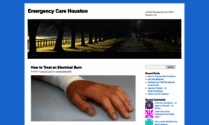 Emergencycarehouston.wordpress.com thumbnail