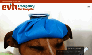 Emergencyvethospital.com.au thumbnail