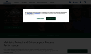 Emersonflowservices.com thumbnail