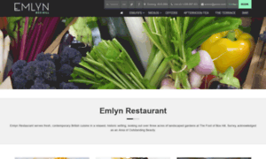 Emlynrestaurant.co.uk thumbnail