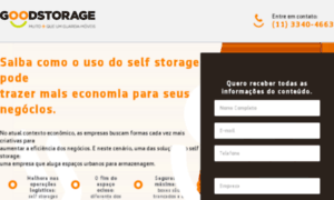 Empresasgoodstorage.com.br thumbnail