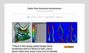 Emptynosesyndromeaerodynamics.com thumbnail