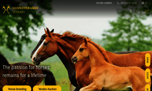 En.hannoveraner.com thumbnail