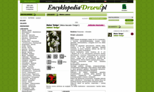Encyklopediadrzew.pl thumbnail