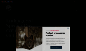 Endangered.org thumbnail