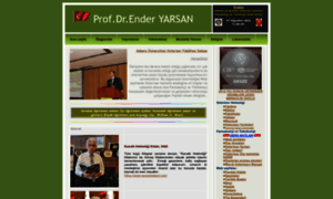Enderyarsan.net thumbnail