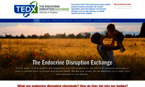 Endocrinedisruption.com thumbnail