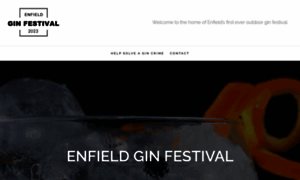 Enfieldginfestival.com thumbnail