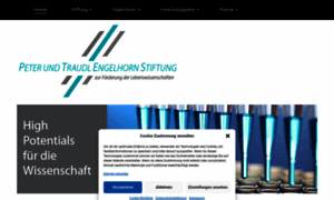 Engelhorn-stiftung.de thumbnail