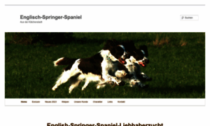 Englische-springer-spaniels.de thumbnail