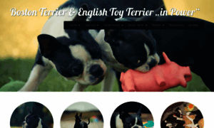 English-toy-terrier-in-power.de thumbnail