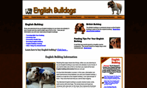 Englishbulldoginformation.org thumbnail