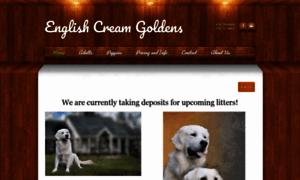 Englishcreamgoldens.com thumbnail