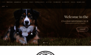 Englishshepherd.org thumbnail