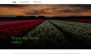 Enjoytheflowerfields.com thumbnail