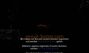 Enovit-bozen.com thumbnail