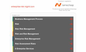 Enterprise-risk-mgmt.com thumbnail