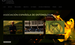 Entomologica.es thumbnail