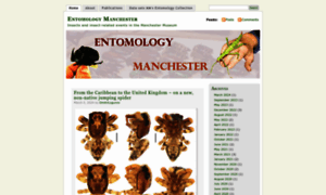 Entomologymanchester.wordpress.com thumbnail