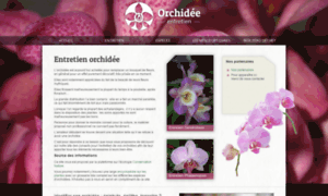 Entretien-orchidee.fr thumbnail