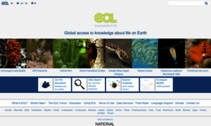 Eol.org thumbnail