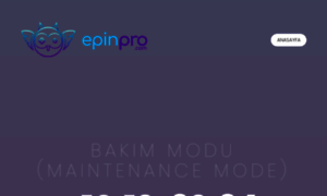 Epinpro.com thumbnail