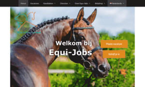 Equi-jobs.nl thumbnail